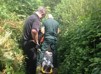 Woman, in her 80s, taken to hospital after falling on mountain path