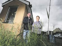 Grass finally cut after hurry-up from top councillor