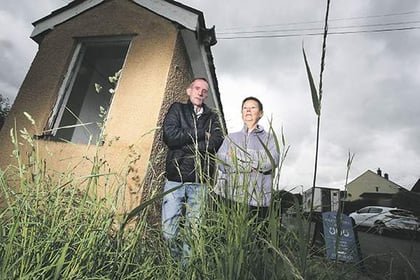 Grass finally cut after hurry-up from top councillor