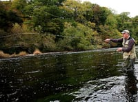 Fishery owners advised to reopen salmon and trout angling beats on Wye and Usk