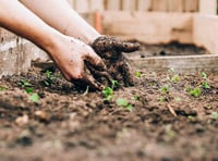 Community Gardens Award re-opens for applicants