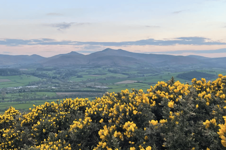 Brecon Beacons taken from the Crug