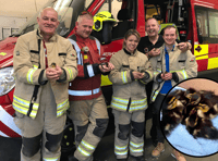 Ducklings saved in quacking Brecon rescue