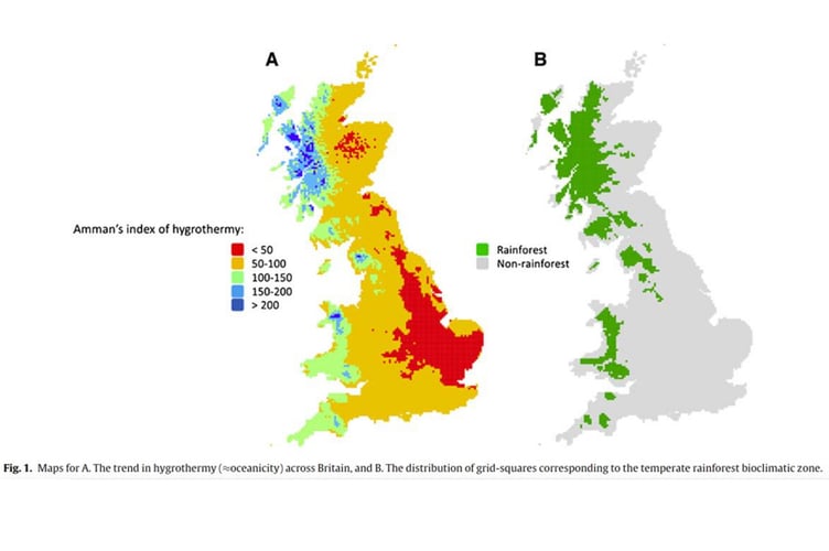 UK rainforest coverage