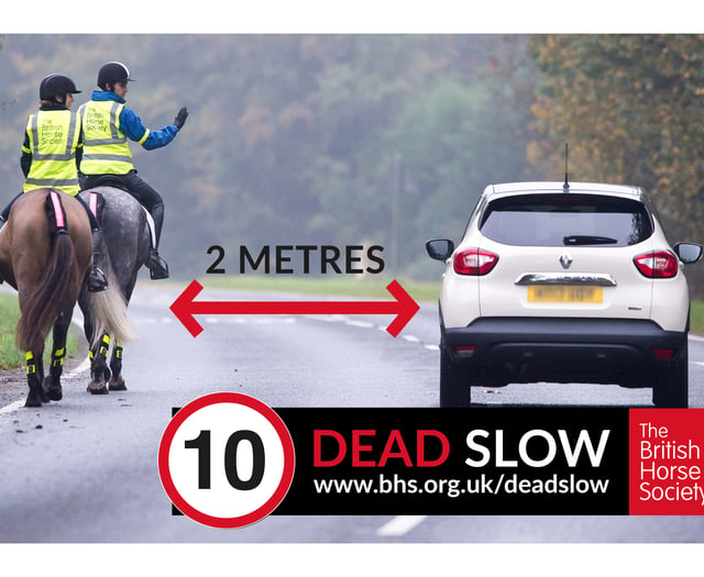 Data show Powys had the most road incidents involving horses last year