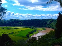 Wye salmon saved from heat death