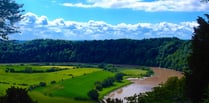 Wye salmon saved from heat death