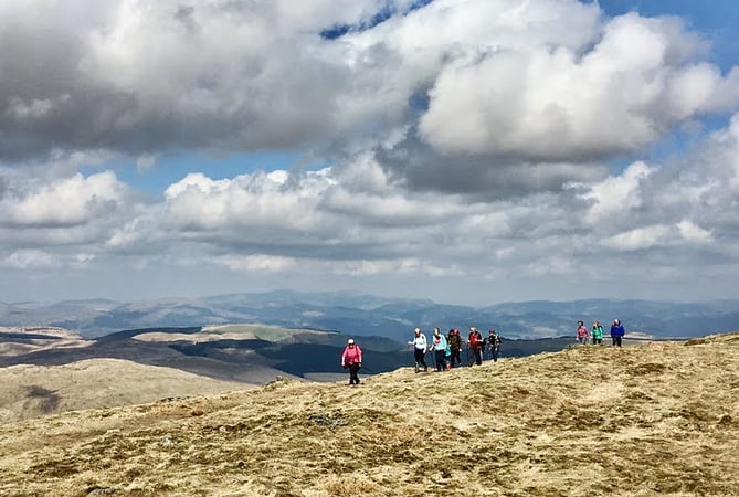 Cambrian Mountains