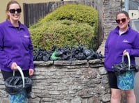 Duo pick up nearly one dog poo per minute on Brecon cleaning patrol 