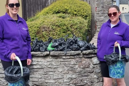 Duo pick up nearly one dog poo per minute on Brecon cleaning patrol 