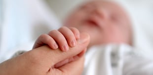 Fertility rate rises in Powys