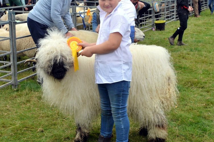 KYLE LEWIS - VALAIS BLACKNOSE