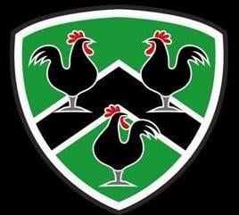 Gwernyfed RFC logo