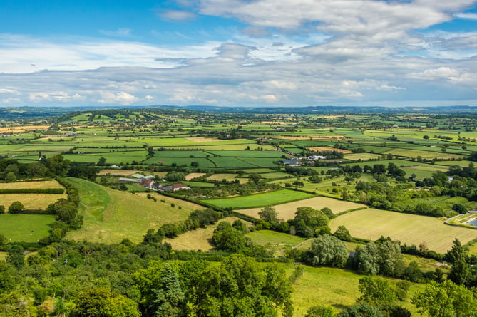 somerset levels