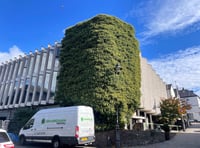 Calls grow to protect ivy ecosystem at former library