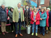 Jubilee tree gifted to Powys library