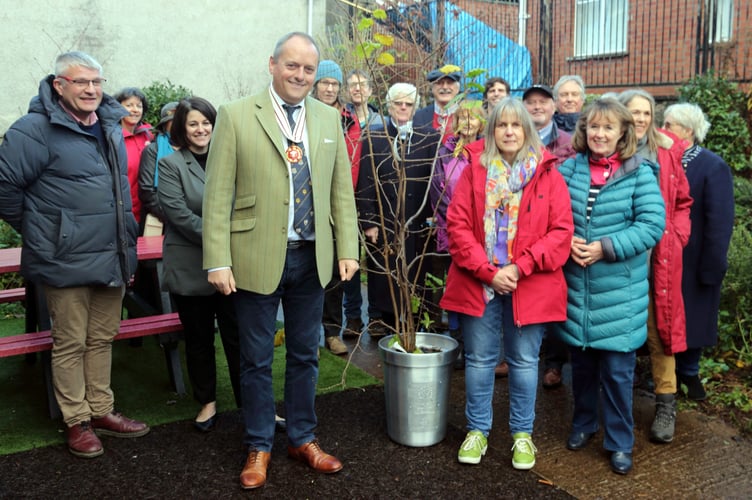 Crickhowell Queen’s Tree