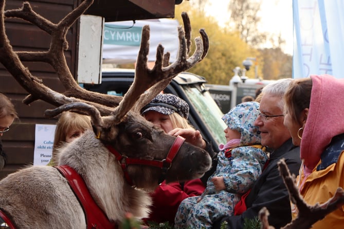 Royal Welsh Winter Fair 2022