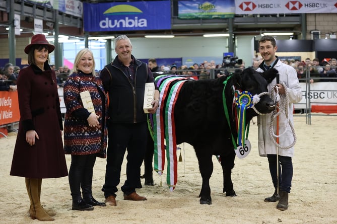 Royal Welsh Winter Fair 2022