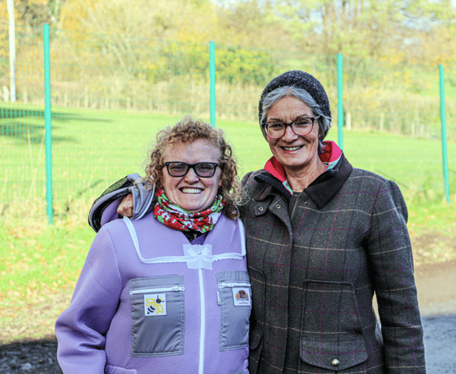 Practice makes perfect for Radnorshire beekeeper