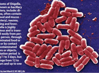 PCC part of team investigating food poisoning outbreak in Abergavenny