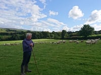 FUW news: Strategies for a prosperous future for Welsh agriculture