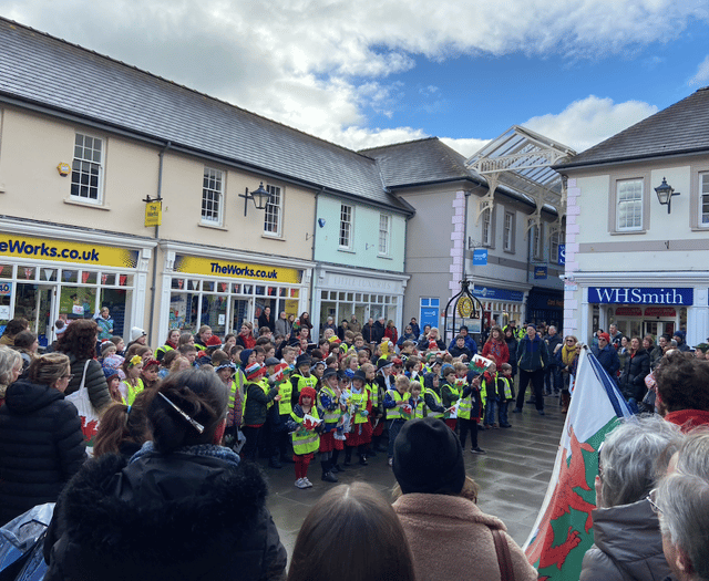 VIDEO: School pupils celebrate St. David's Day in Brecon Town centre