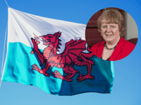 Welsh Lib Dems call for St David's Day to be made a public holiday