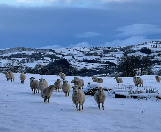 VIDEO: Your snowy pictures!