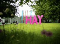 Recipients of Hay Festival Medals announced