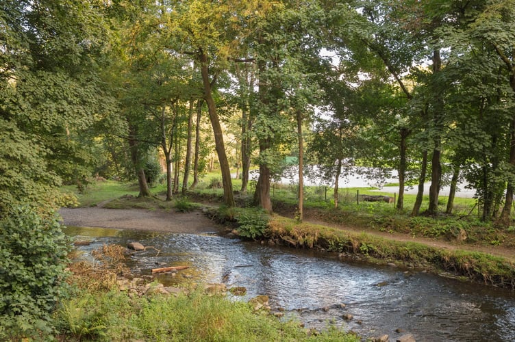 Llanerchaeron Woodlands.