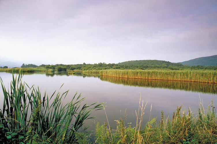 View over pool from Eidol hide, August 1998, Ynys - Hir RSPB reserve