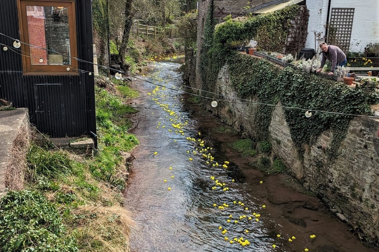 Talgarth Duck Race