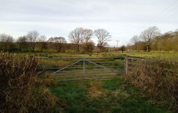 The field where the dog training facility and caravan sales site could be built.