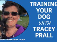 Training your dog - with Tracey Prall