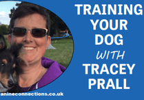 Training your dog - with Tracey Prall