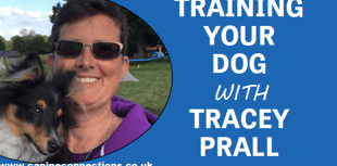 Training your dog - with Tracey Prall