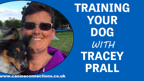 Training your dog - with Tracey Prall