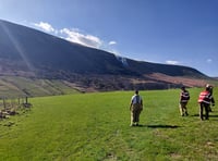 Helicopter called in to help with 60-hectare grass fire in Talgarth