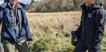 Endangered Freshwater Pearl Mussel surveyed in River Irfon