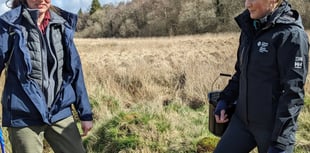 Endangered Freshwater Pearl Mussel surveyed in River Irfon