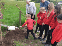 Seven trees planted in Vale of Grwyney to create new Jubilee Walk