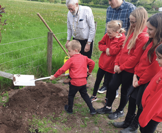 Seven trees planted in Vale of Grwyney to create new Jubilee Walk