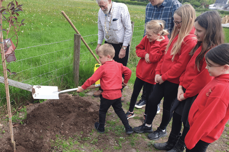 Vale of Grwyney Jubilee Walk