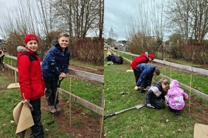 Clyro School helps plant 100 new woodlands in Wales