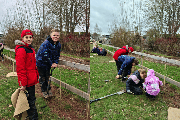 Clyro School tree planting