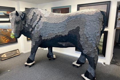 Brecon bull travelling the UK as a statement piece for sustainability
