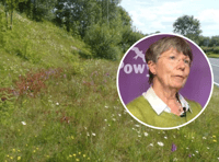 Powys Council gets specialist staff support for environmental plans