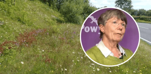 Powys Council gets specialist staff support for environmental plans