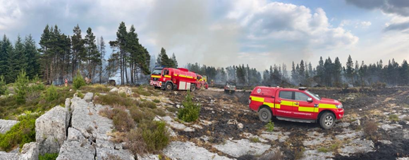 WATCH: 'Deliberate' grass fire scorches 30 hectares in South Powys